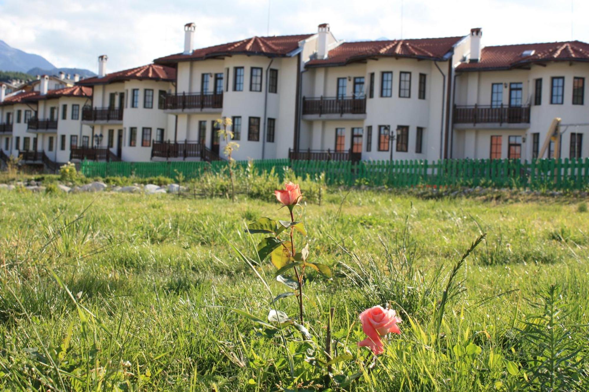 Pinerose Resort Bansko Eksteriør bilde