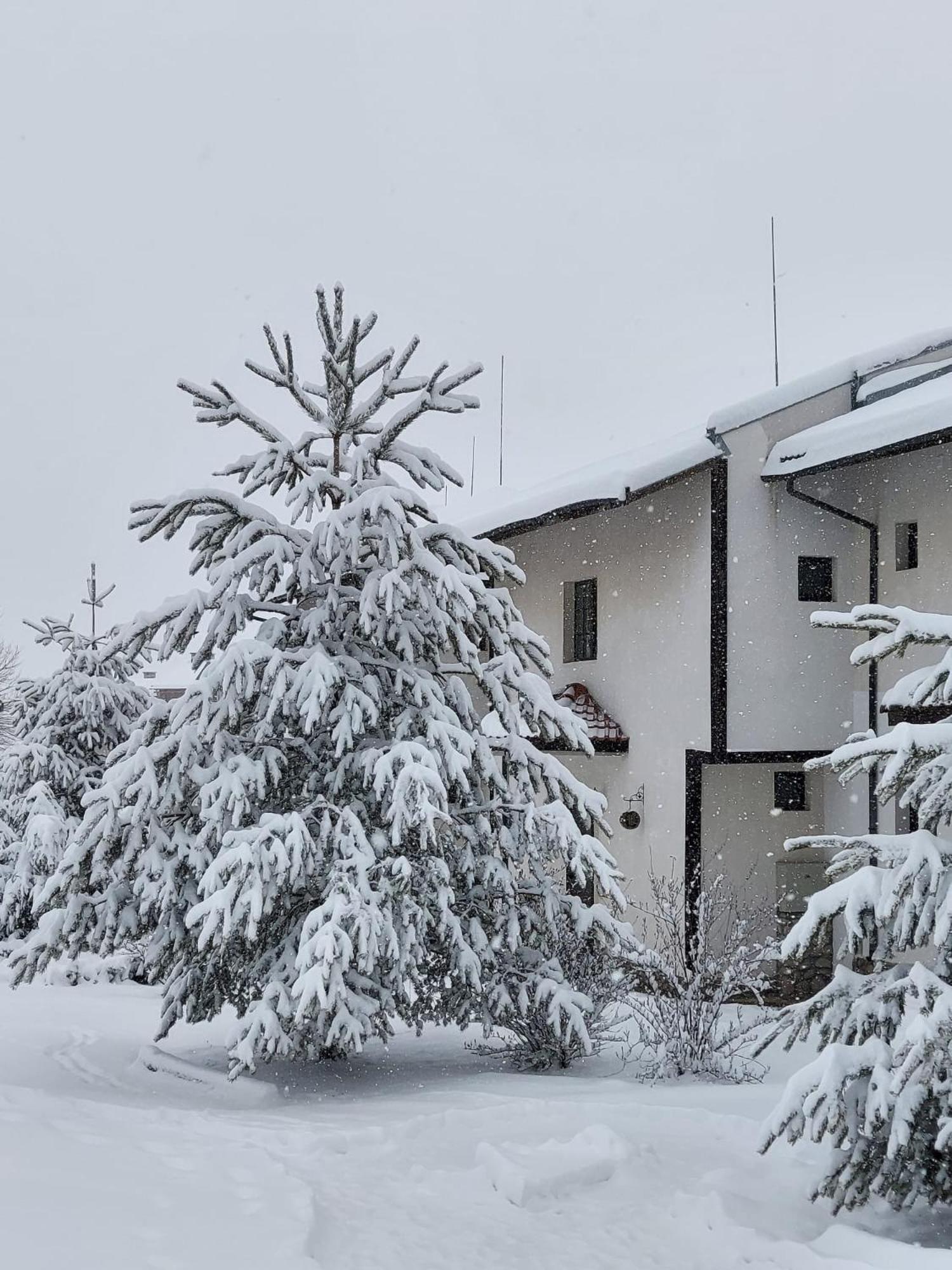 Pinerose Resort Bansko Eksteriør bilde